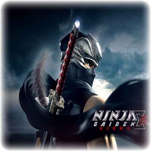  NINJA GAIDEN 2 - GARANTİ